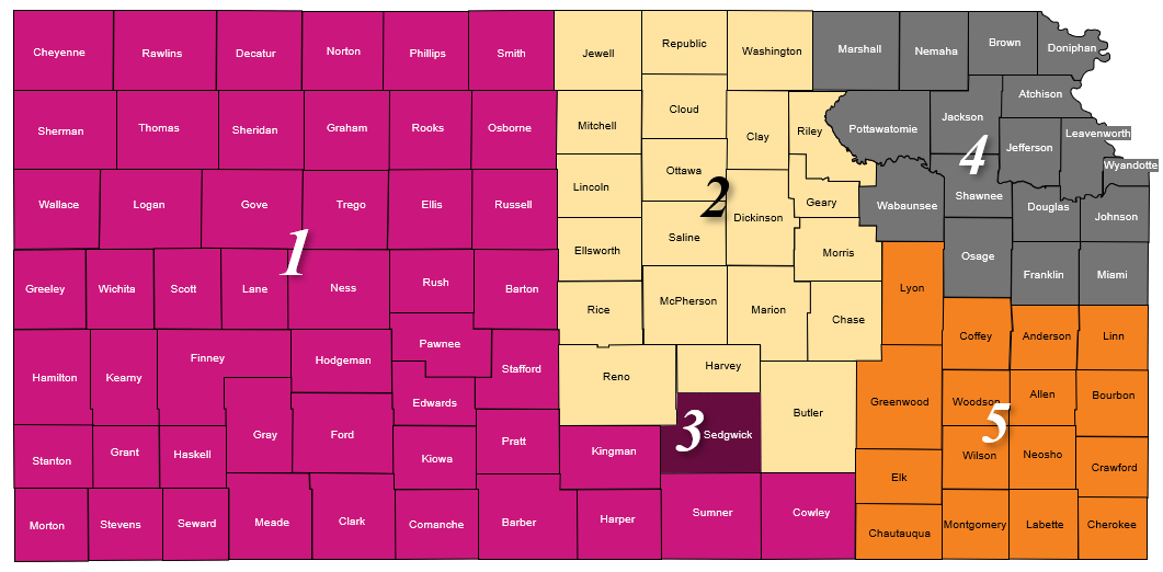 Map of Kansas with Medical Provider Representatives Regions